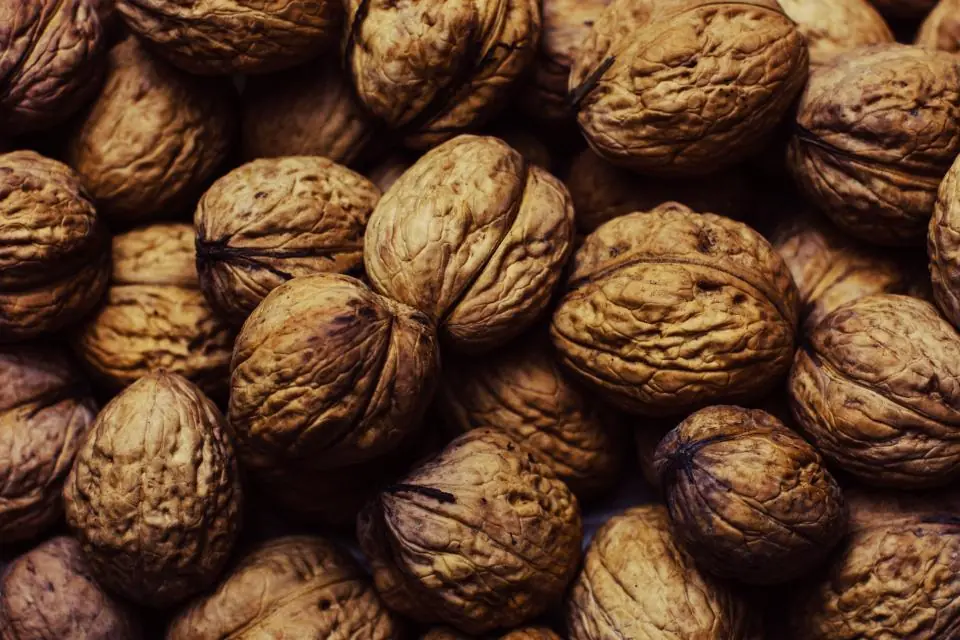 باقالیپلو با ماهیچه